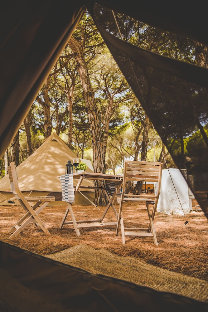 Economy Tent