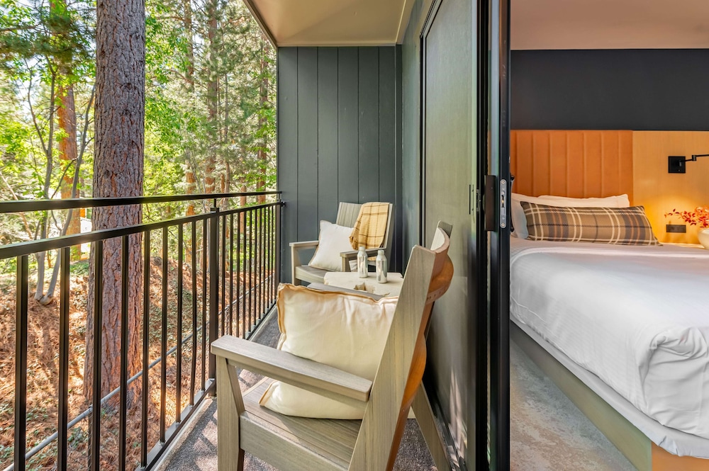 Signature Room, 1 King Bed photo 1