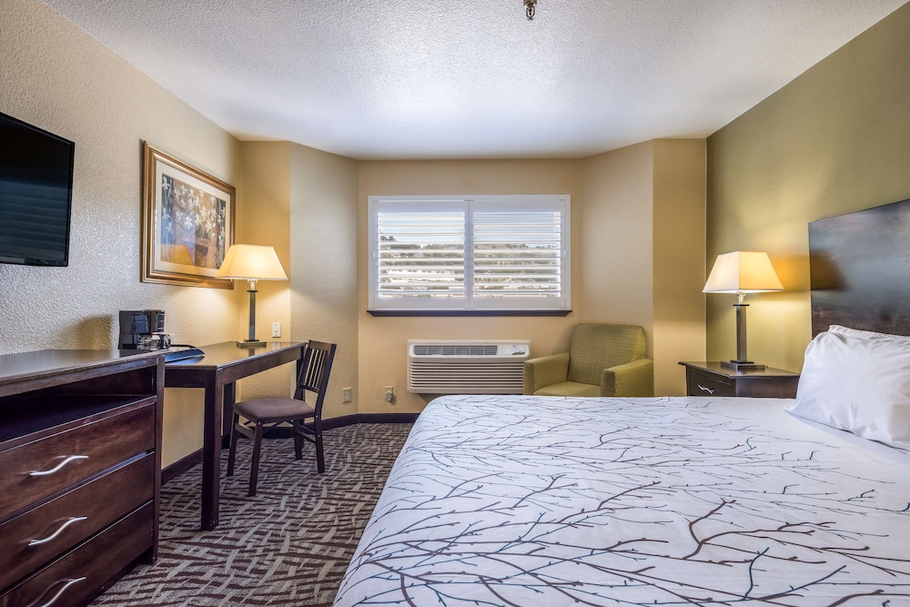 Economy Room, 1 King Bed, Non Smoking photo 3