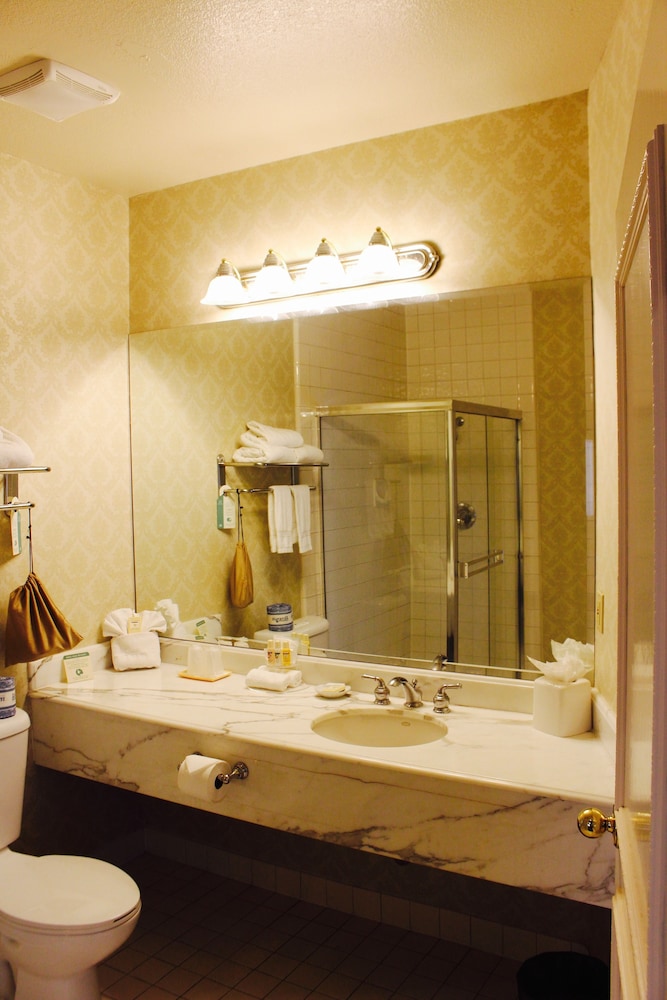Room - Photo 5