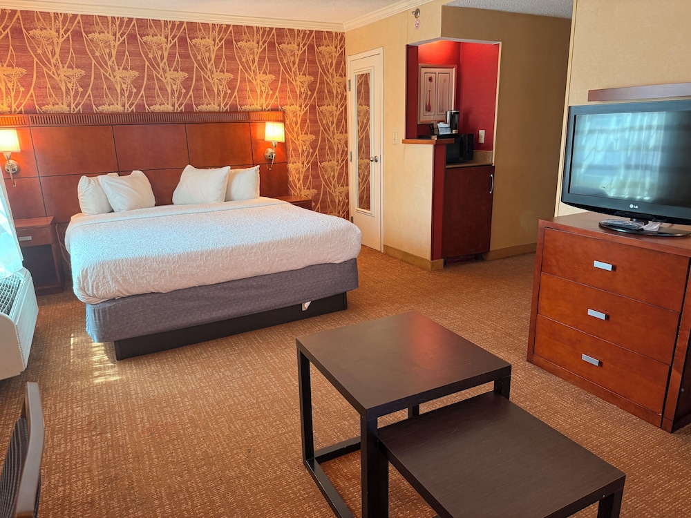 Junior Single Room photo 1