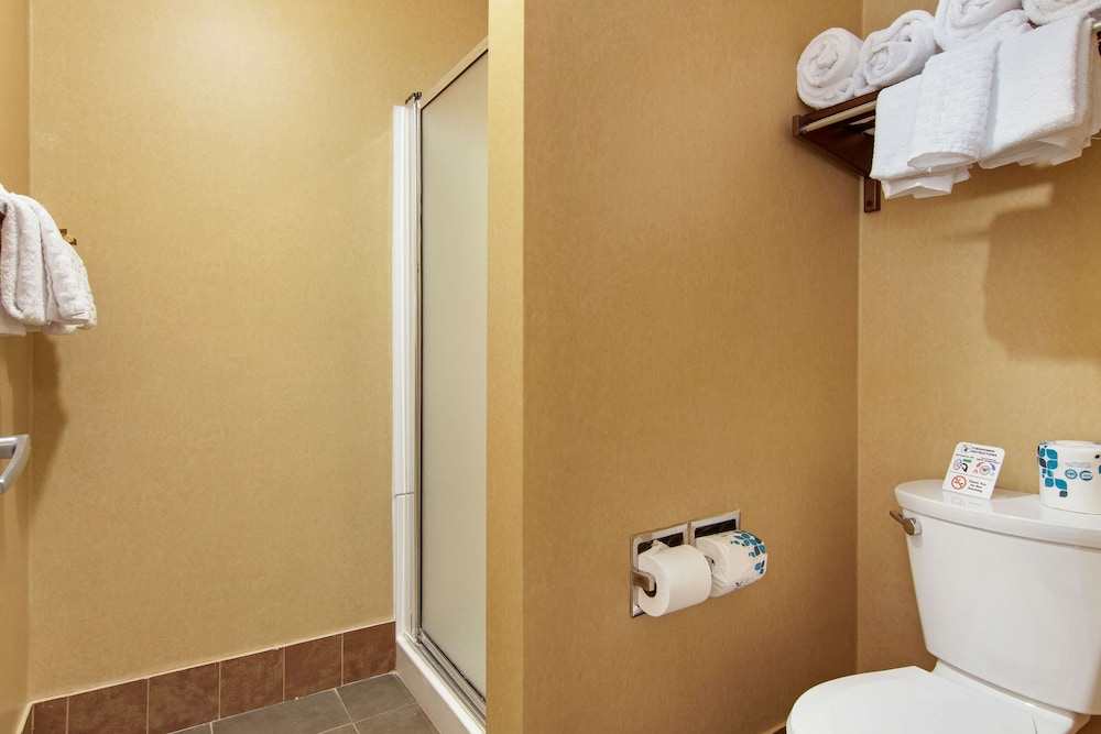 Standard Room, 1 King Bed, Non Smoking, Jetted Tub - Photo 6