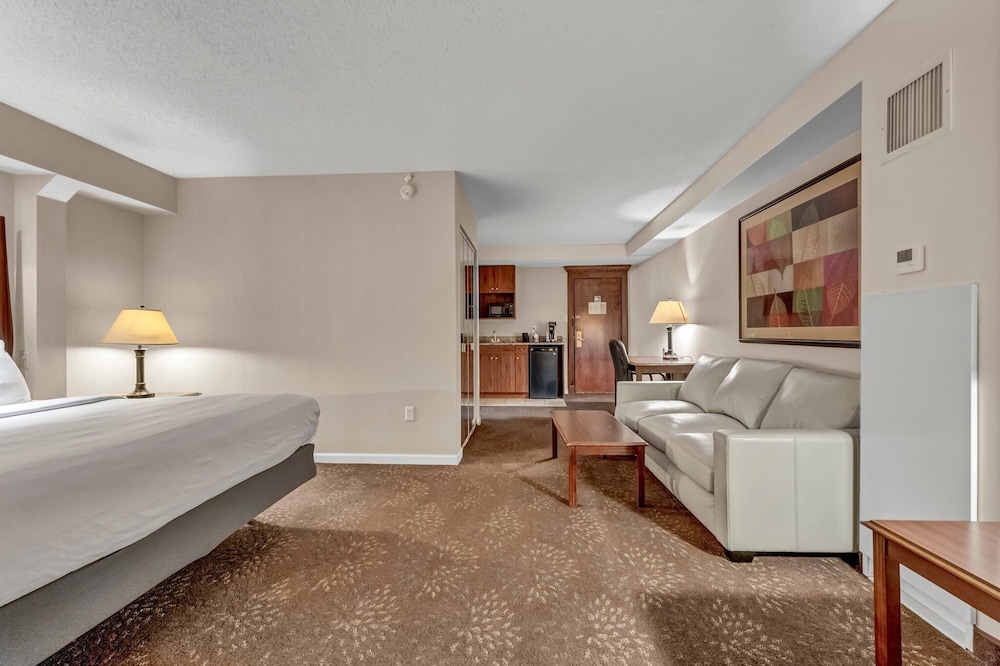 Studio Suite, 1 King Bed - Photo 6
