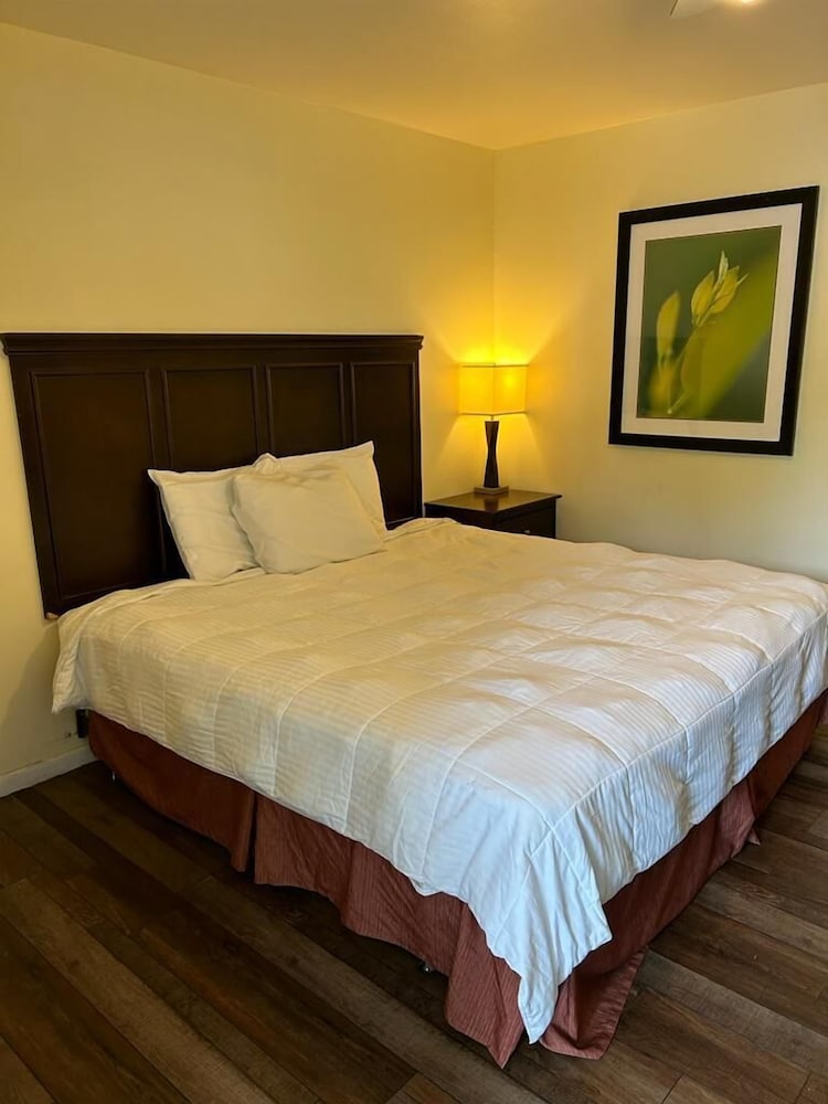 Comfort Room, 1 King Bed, Non Smoking photo 1