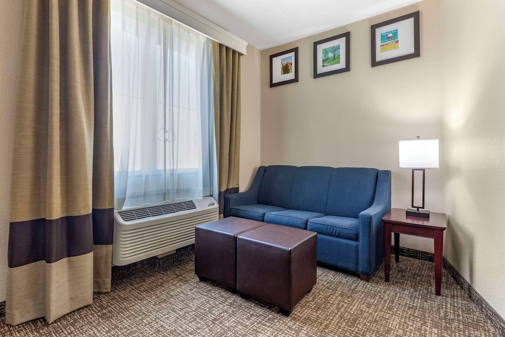 Suite, 1 King Bed with Sofa bed, Accessible, Non Smoking - Photo 2