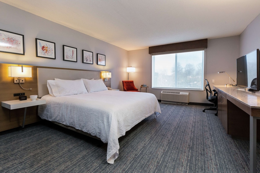 Room, 1 King Bed, Accessible - Photo 5
