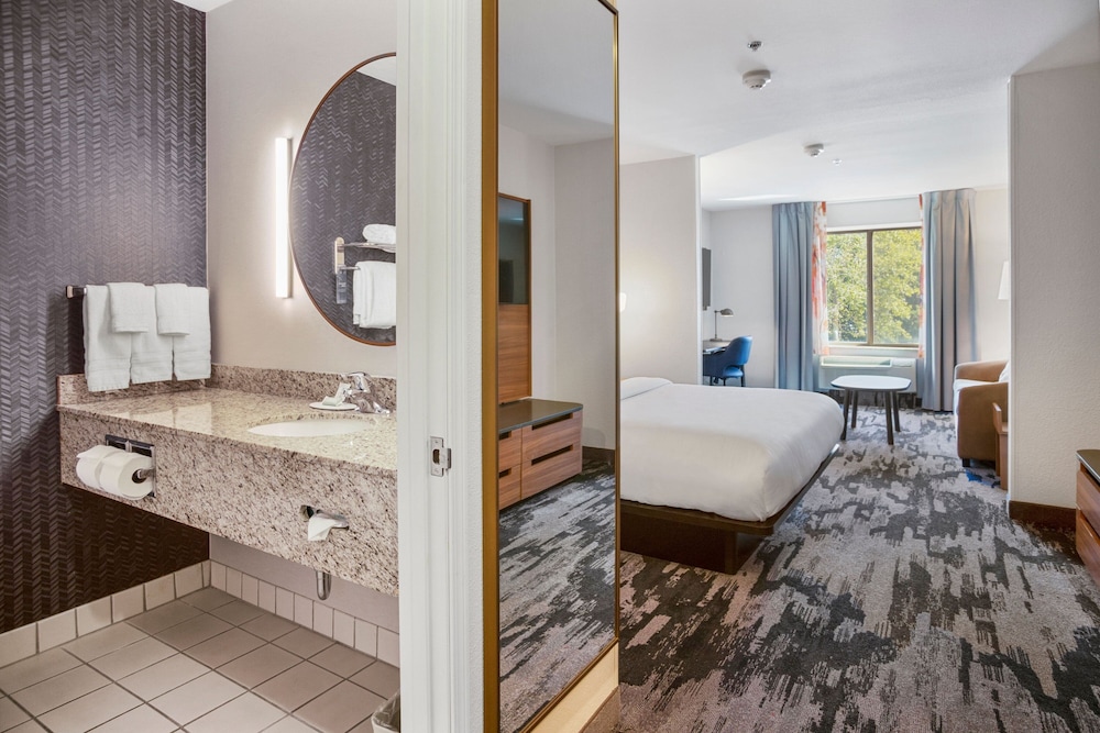 Suite, 1 King Bed with Sofa bed