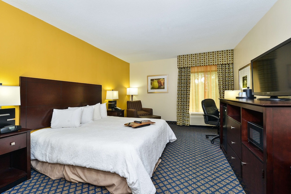 Room, 1 King Bed, Accessible, Non Smoking - Photo 3