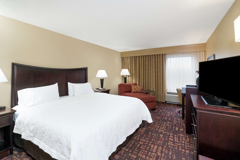 Room, 1 King Bed, Accessible, Non Smoking (Hearing) - Photo 3