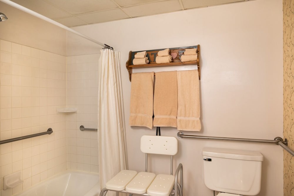 King Suite Accessible - Not Pet Friendly - Photo 3