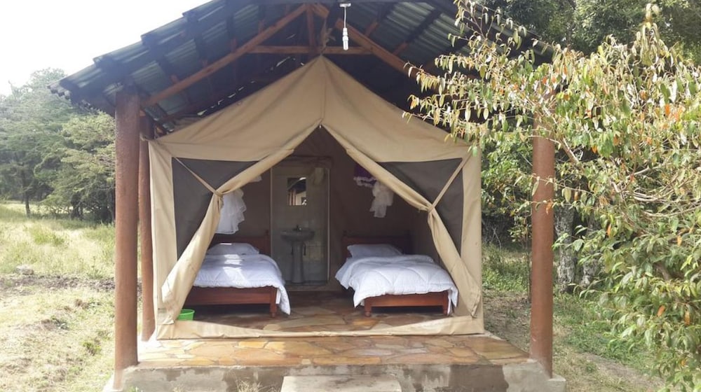 Tent (Double room Ensuit) photo 1