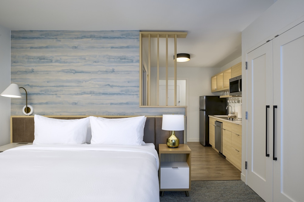 Studio Suite, 1 King Bed with Sofa bed