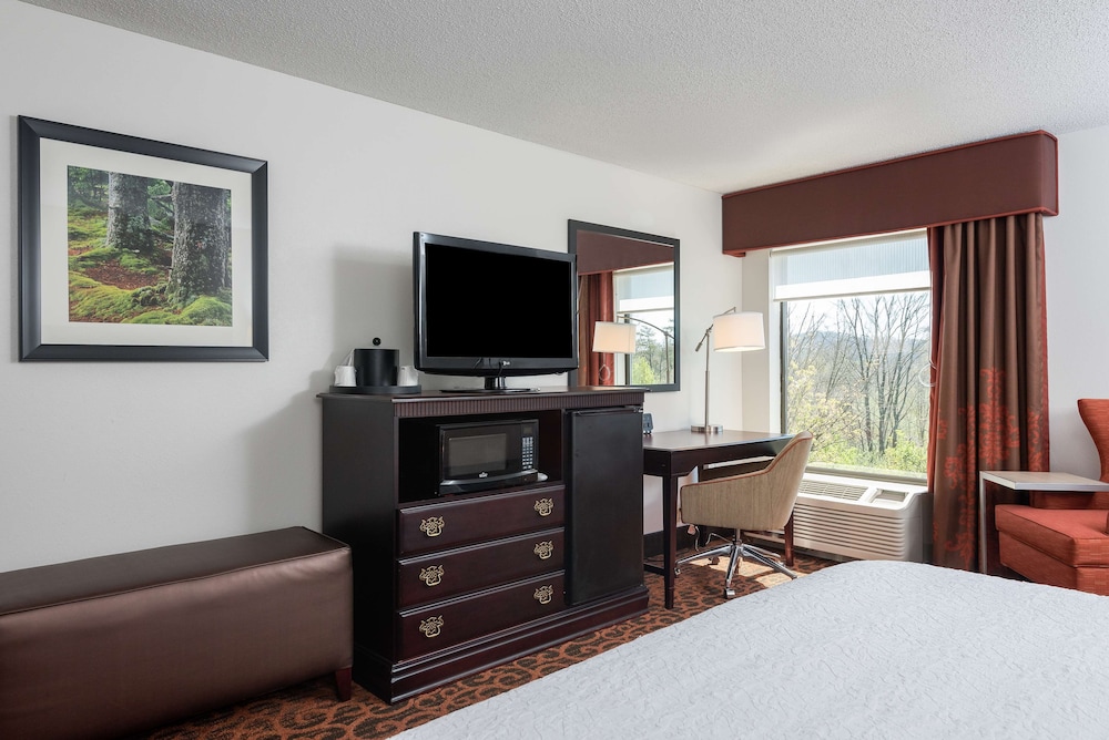 Room, 1 King Bed, Accessible - Photo 4