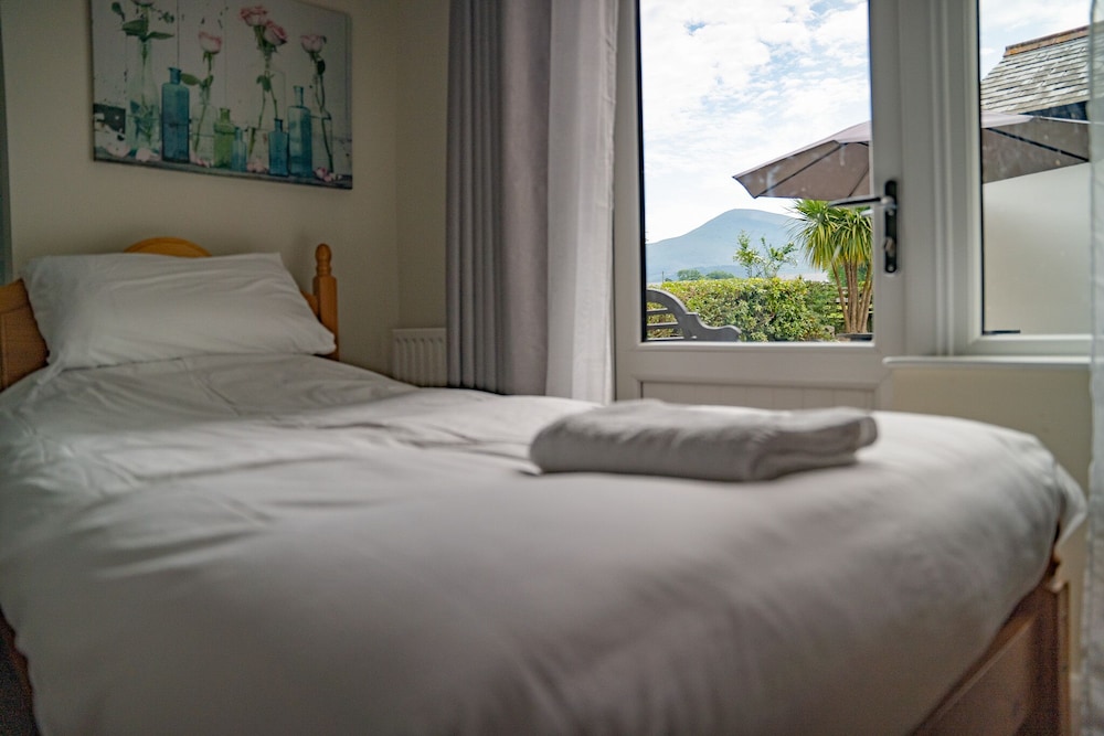 Deluxe Double Room, 1 King Bed, Accessible, Mountain View photo 2