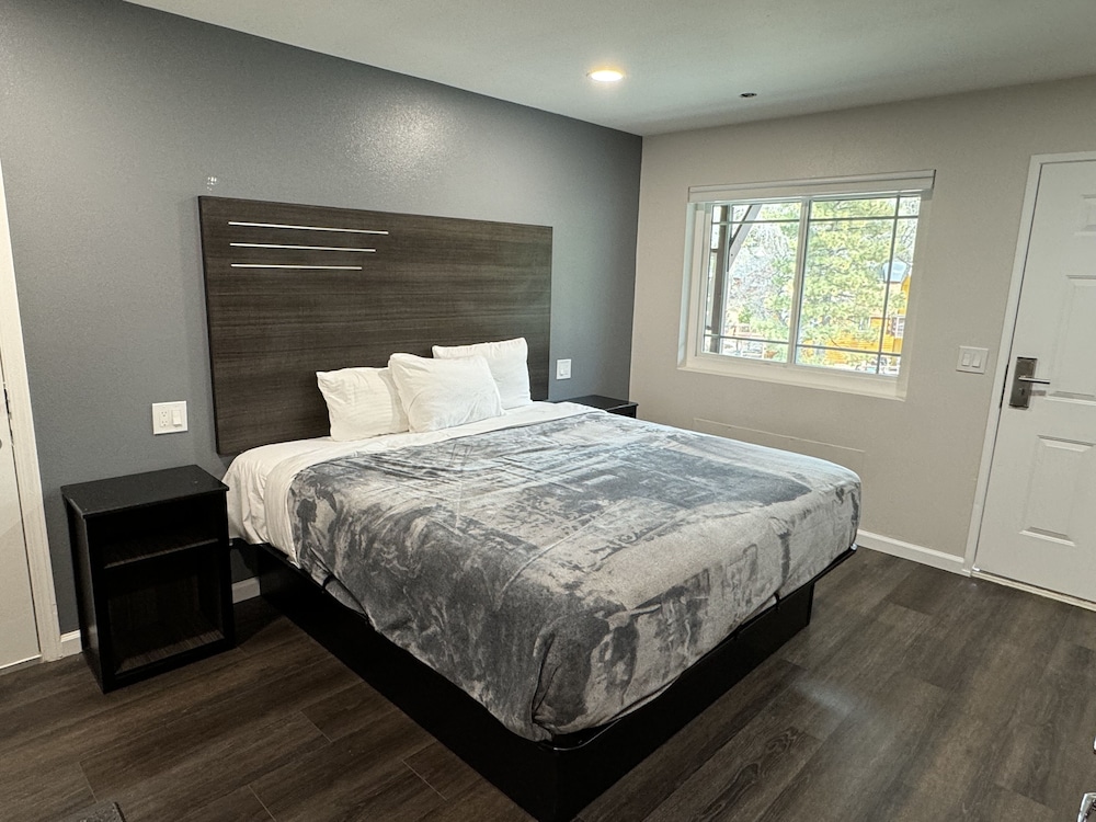 Single Room, 1 King Bed, Non Smoking photo 3
