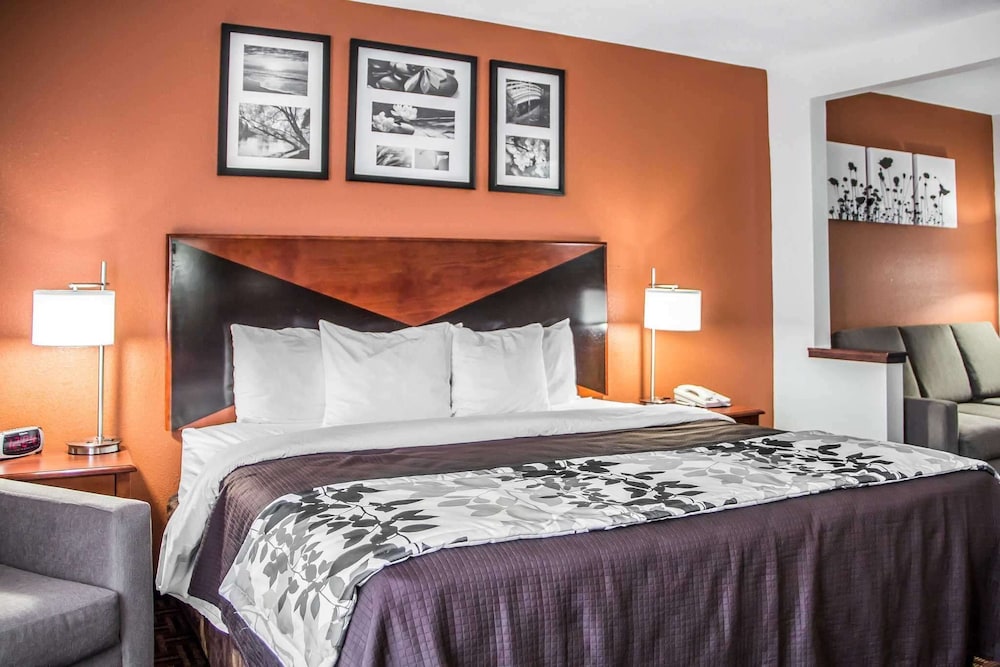 Standard Room, 1 King Bed, Non Smoking - Photo 4