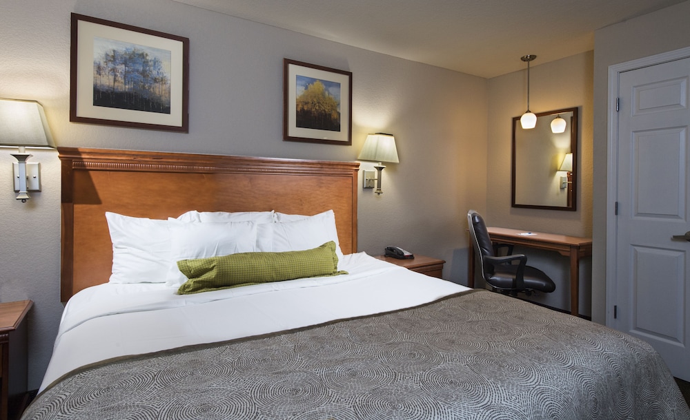 Suite, 1 Bedroom - Photo 1