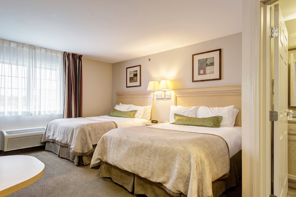 Studio Suite, 2 Queen Beds - Photo 3