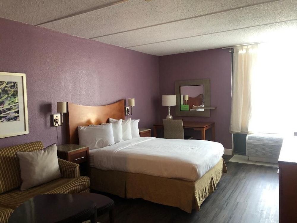Business Single Room, 1 Double Bed, Non Smoking photo 3