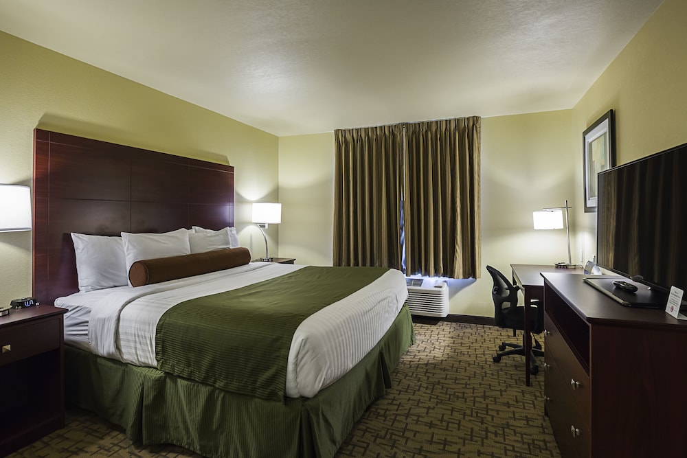 Room, 1 King Bed, Non Smoking
