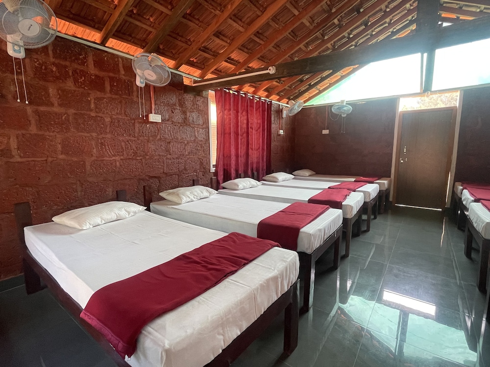Comfort Shared Dormitory photo 2