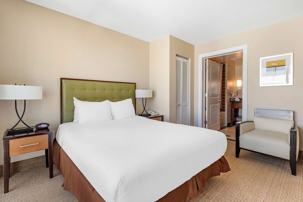 Suite, 1 Bedroom - Photo 3