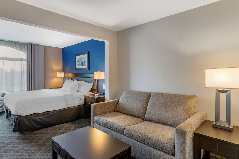 Standard Room, 1 King Bed with Sofa bed, Non Smoking photo 1