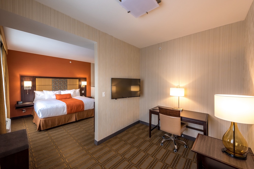Standard Room, 1 King Bed, Non Smoking, Kitchenette (Larger Room) photo 3