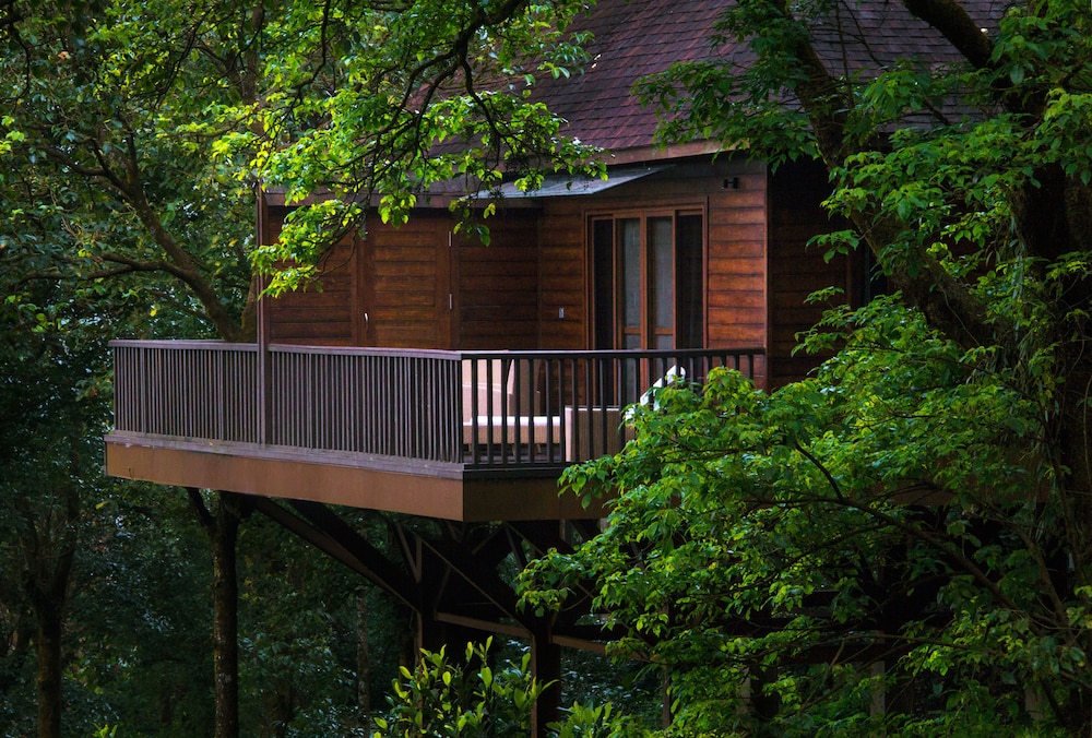 Luxury Cottage(Child below 12 years strictly not allowed)