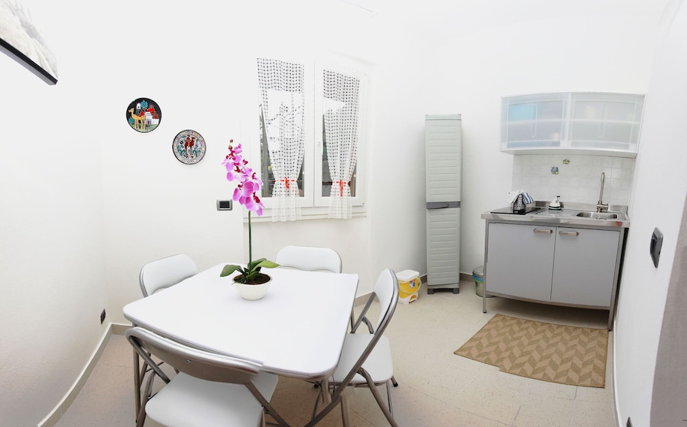Basic Apartment