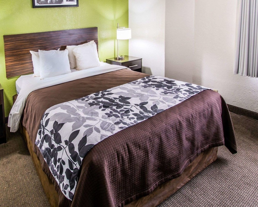 Standard Room, 1 King Bed, Non Smoking - Photo 7