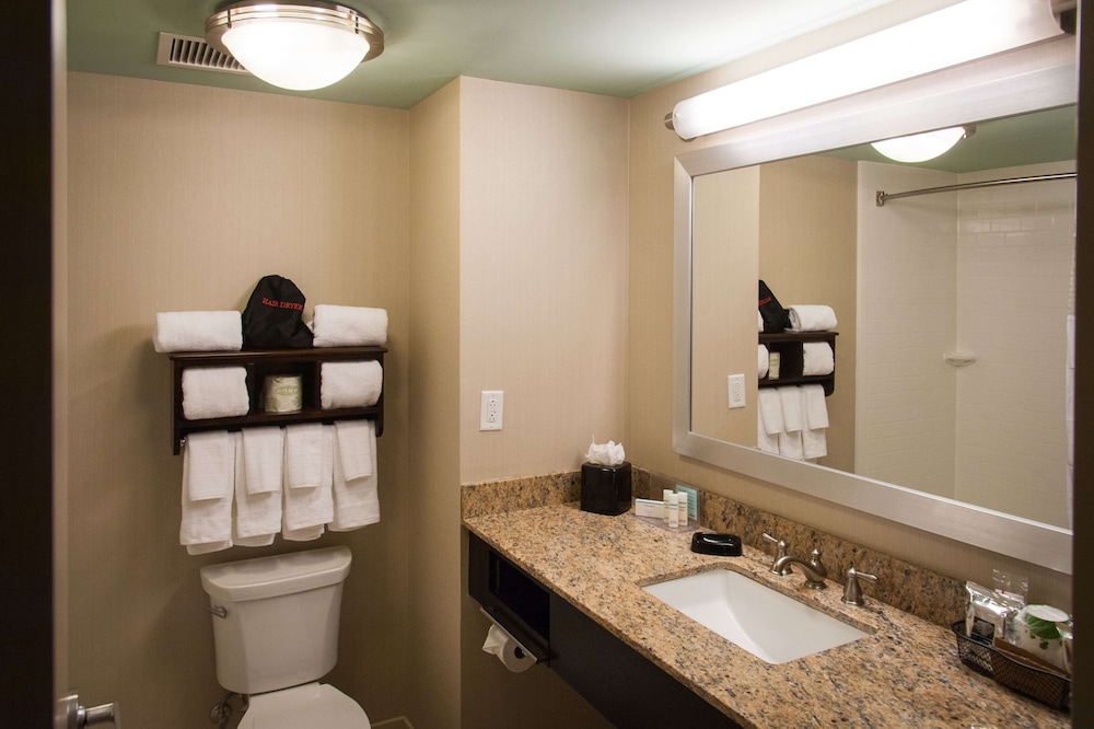 Room, 1 King Bed, Refrigerator & Microwave