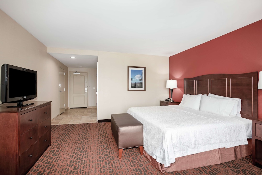 Room, 1 King Bed, Accessible, Non Smoking photo 3