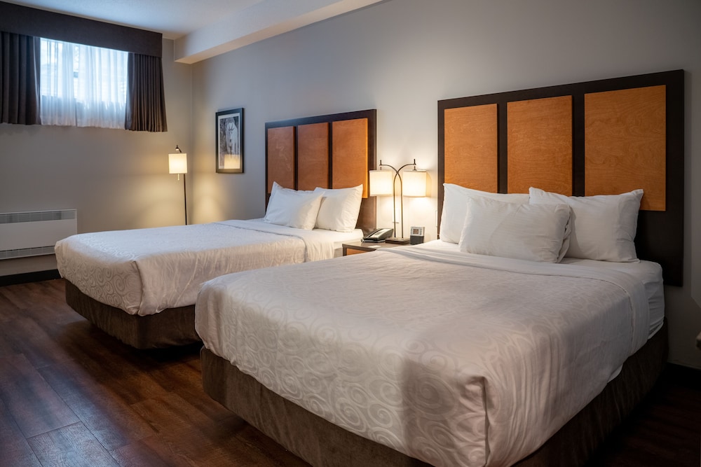 Standard Room, 2 Queen Beds photo 1