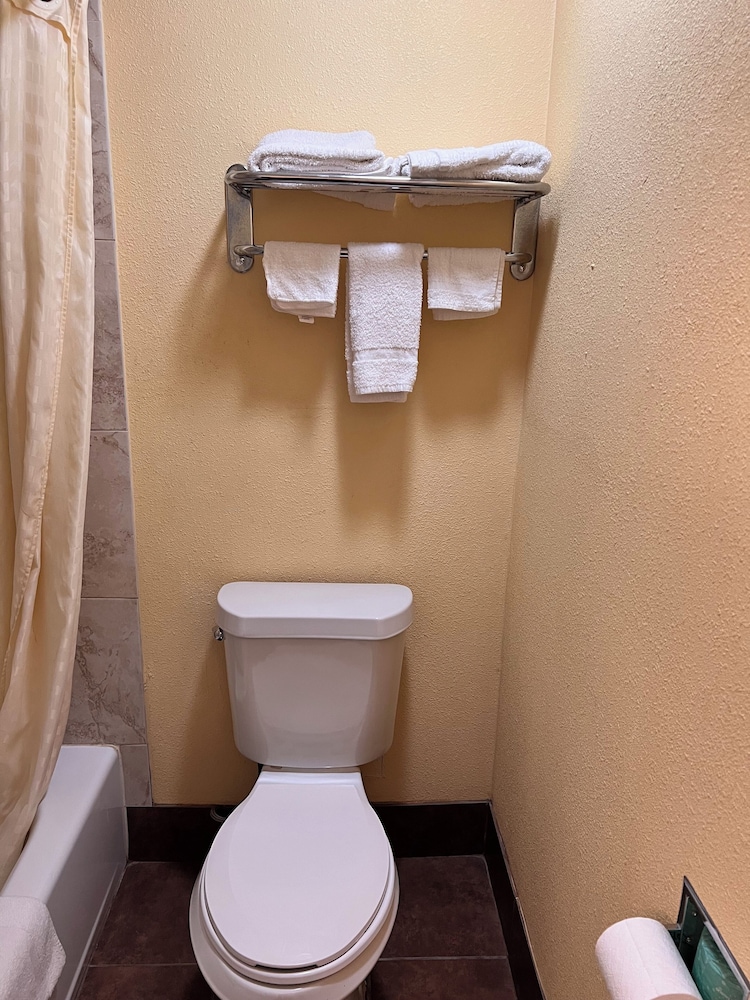 Standard Single Room photo 3