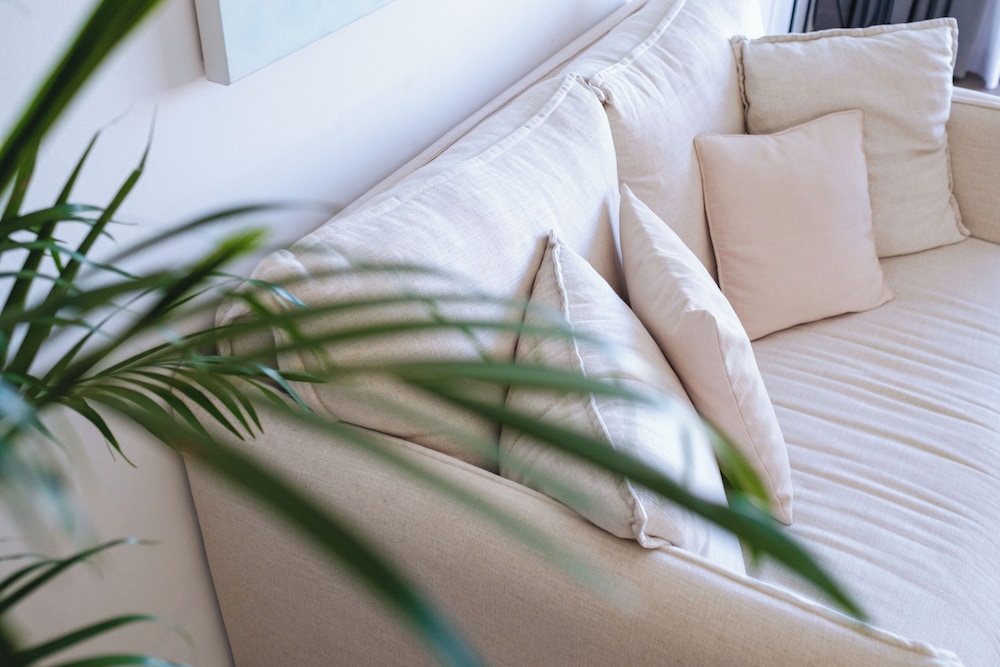 Junior Suite, Terrace