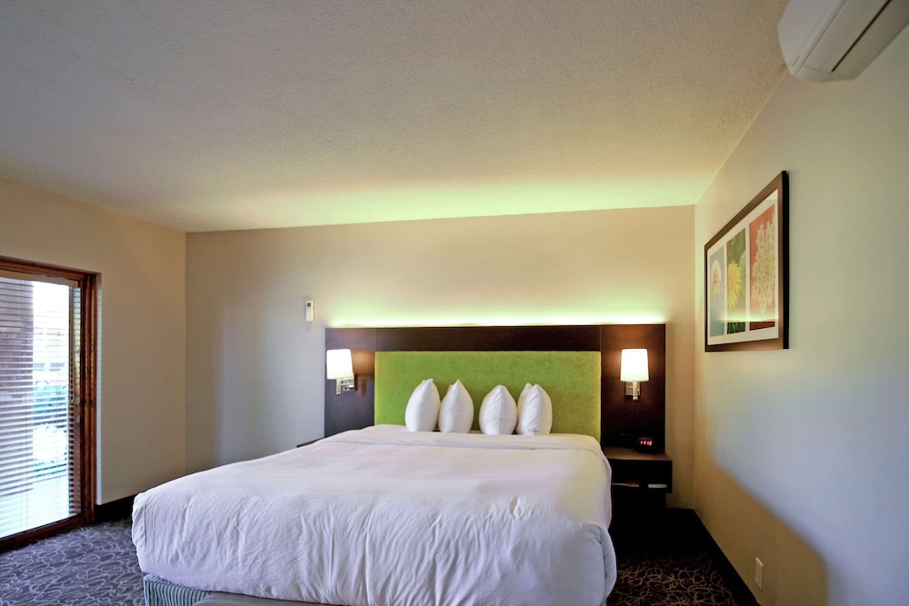 Standard Room, 1 King Bed, Non Smoking - Photo 12