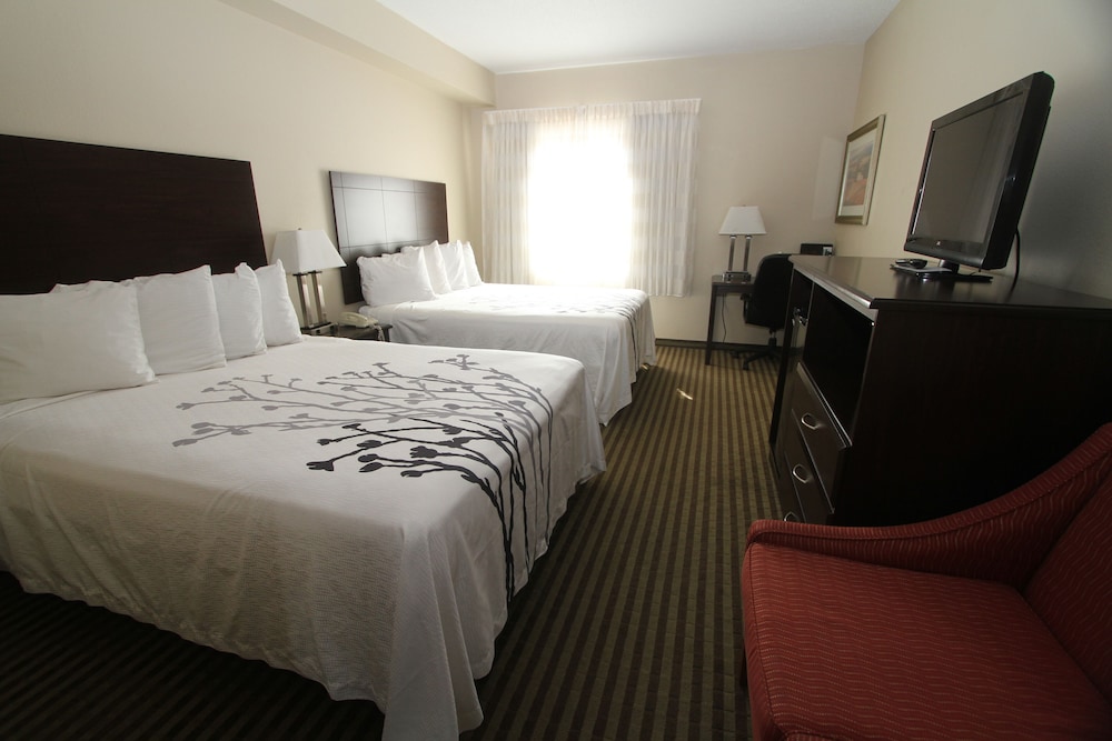 Room, 2 Queen Beds, Non Smoking, Refrigerator & Microwave (Pet Friendly) photo 2