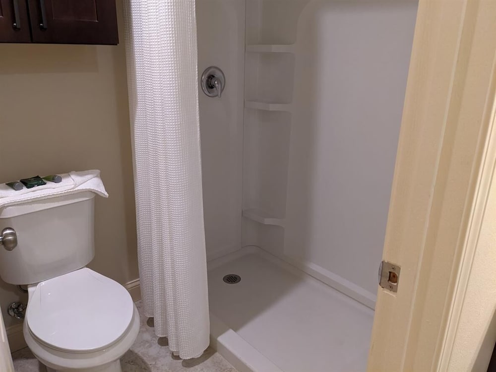 Luxury Studio Suite, 1 King Bed photo 2