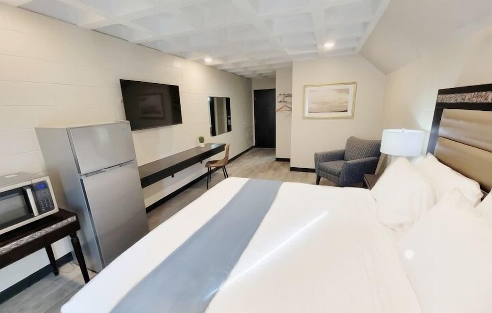 Deluxe Single Room, Refrigerator & Microwave photo 2