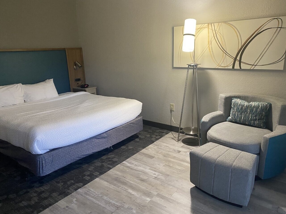 Room, 1 King Bed with Sofa bed (Mobility/Hearing Access, Transf Shwr)