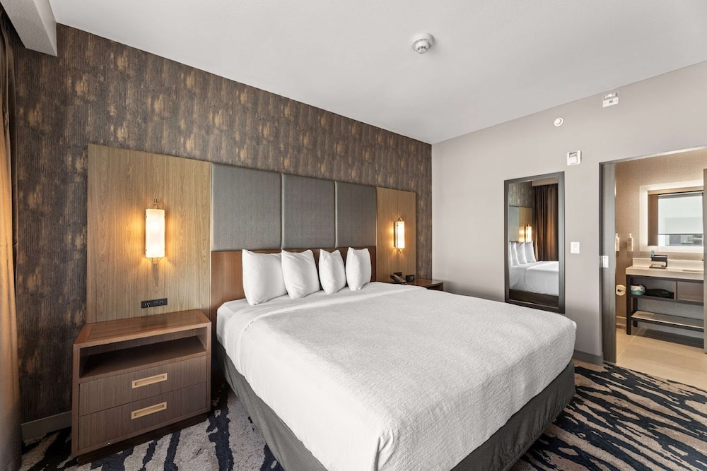 Suite, 1 King Bed photo 2