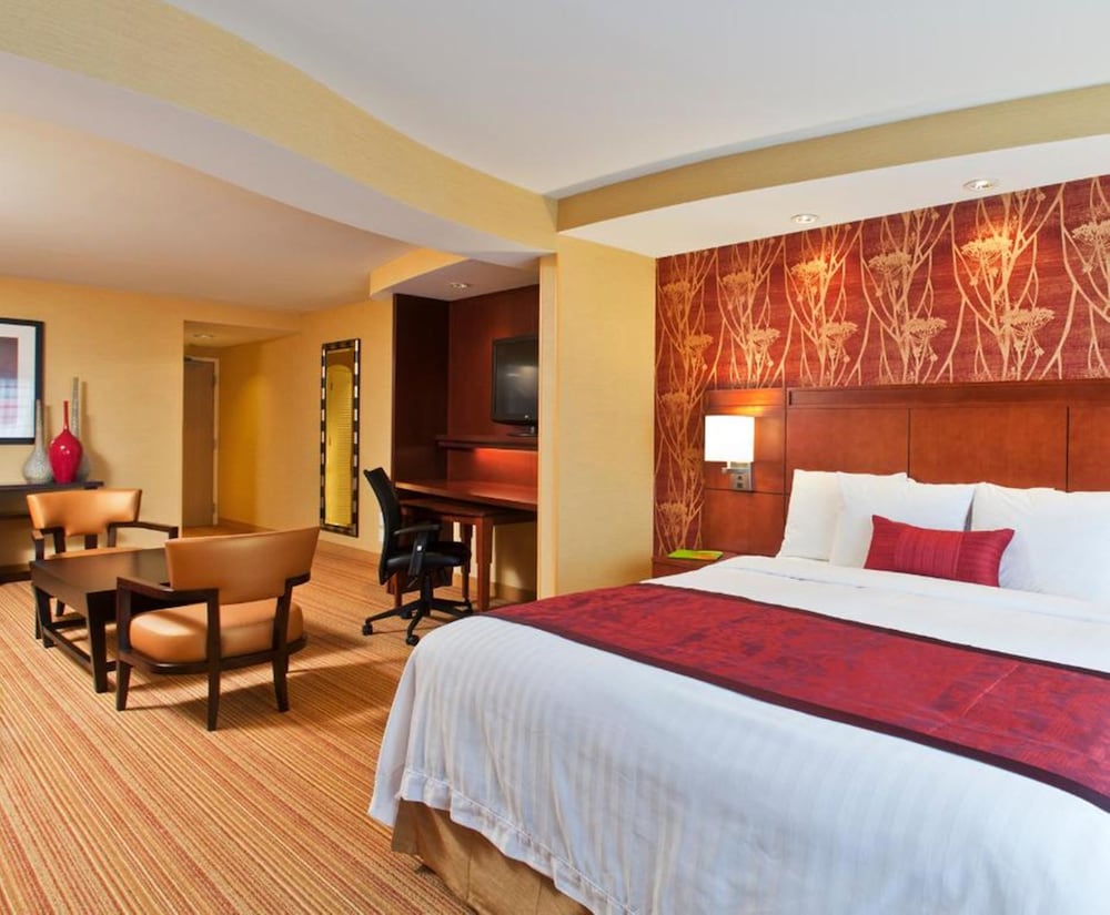 Executive Suite, 1 Bedroom photo 2