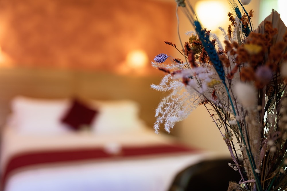 Logis Hotel Restaurant Les 2 Rives - A75, en bordur af flod, Billede 8