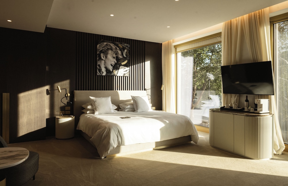 Junior Studio Suite (Junior Suite View)