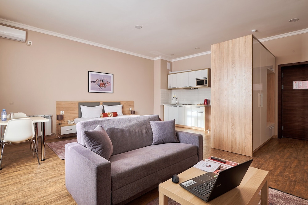 Basic Studio, 1 King Bed with Sofa bed, Kitchenette photo 2