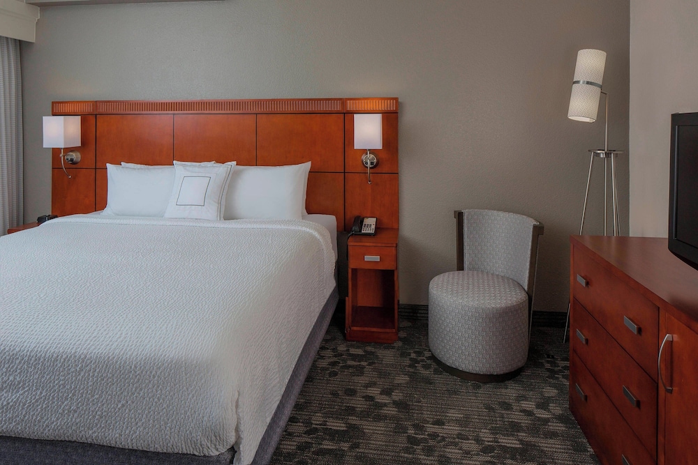 Suite, 1 King Bed with Sofa bed