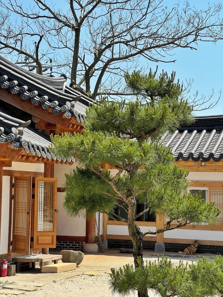 Classic House, Courtyard View
