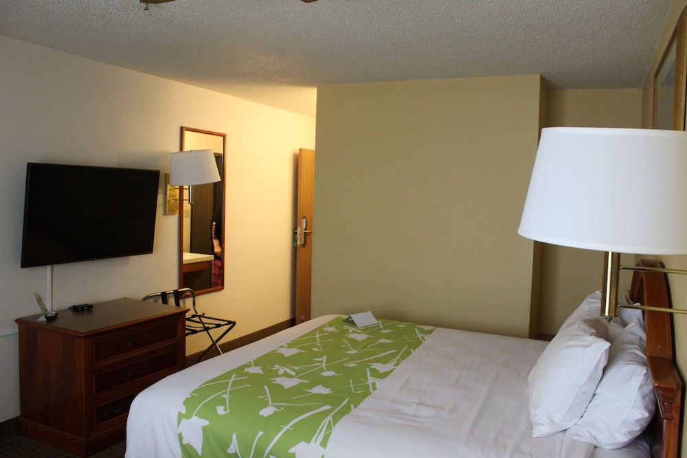 Room, 1 King Bed - Photo 1