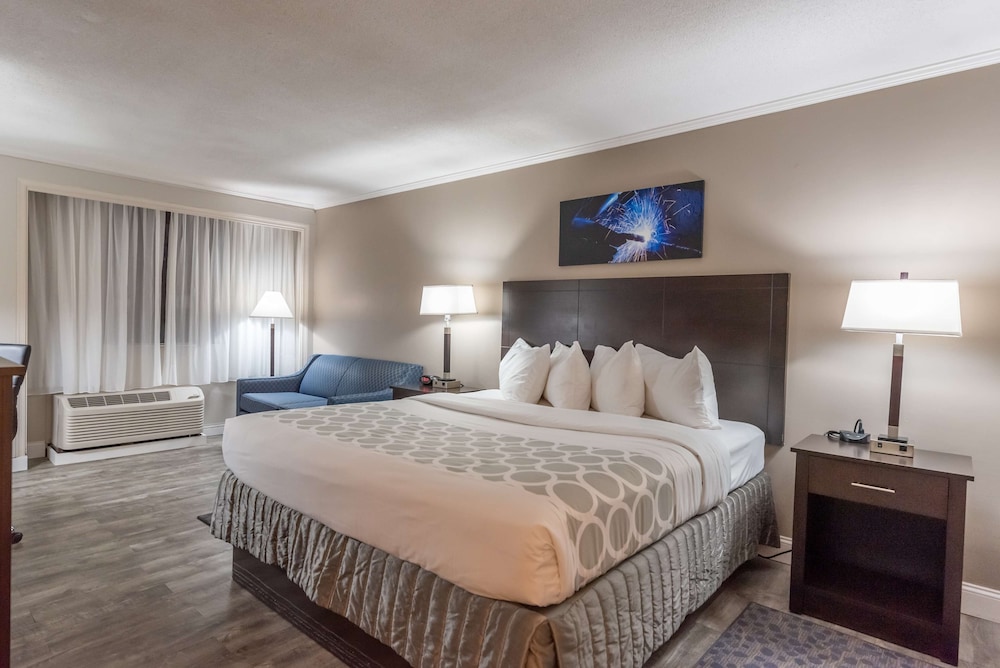 Standard Room, 1 King Bed, Refrigerator & Microwave, Pool View (with Sofabed) photo 1